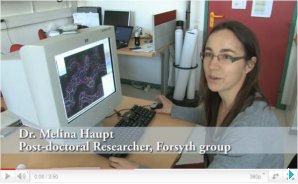 Researchers from Trevor Forsyth´s group talk about their work