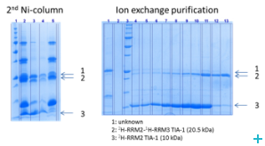 Deuteration JRA - 4