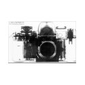 Camera - X ray radiography